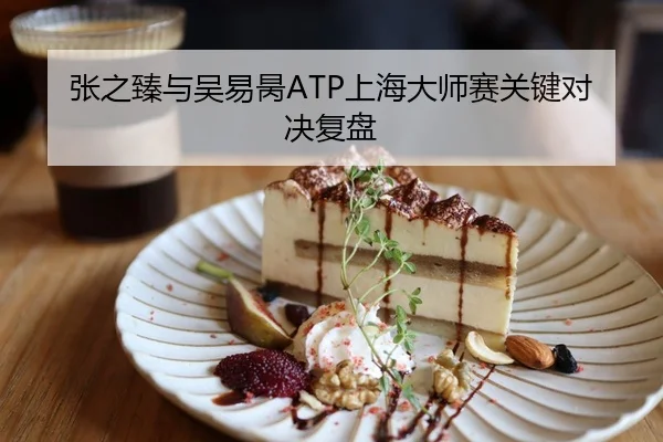 张之臻与吴易昺ATP上海大师赛关键对决复盘